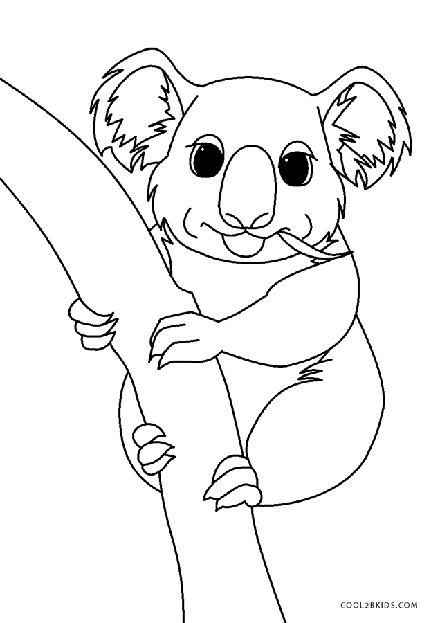 koala malvorlage