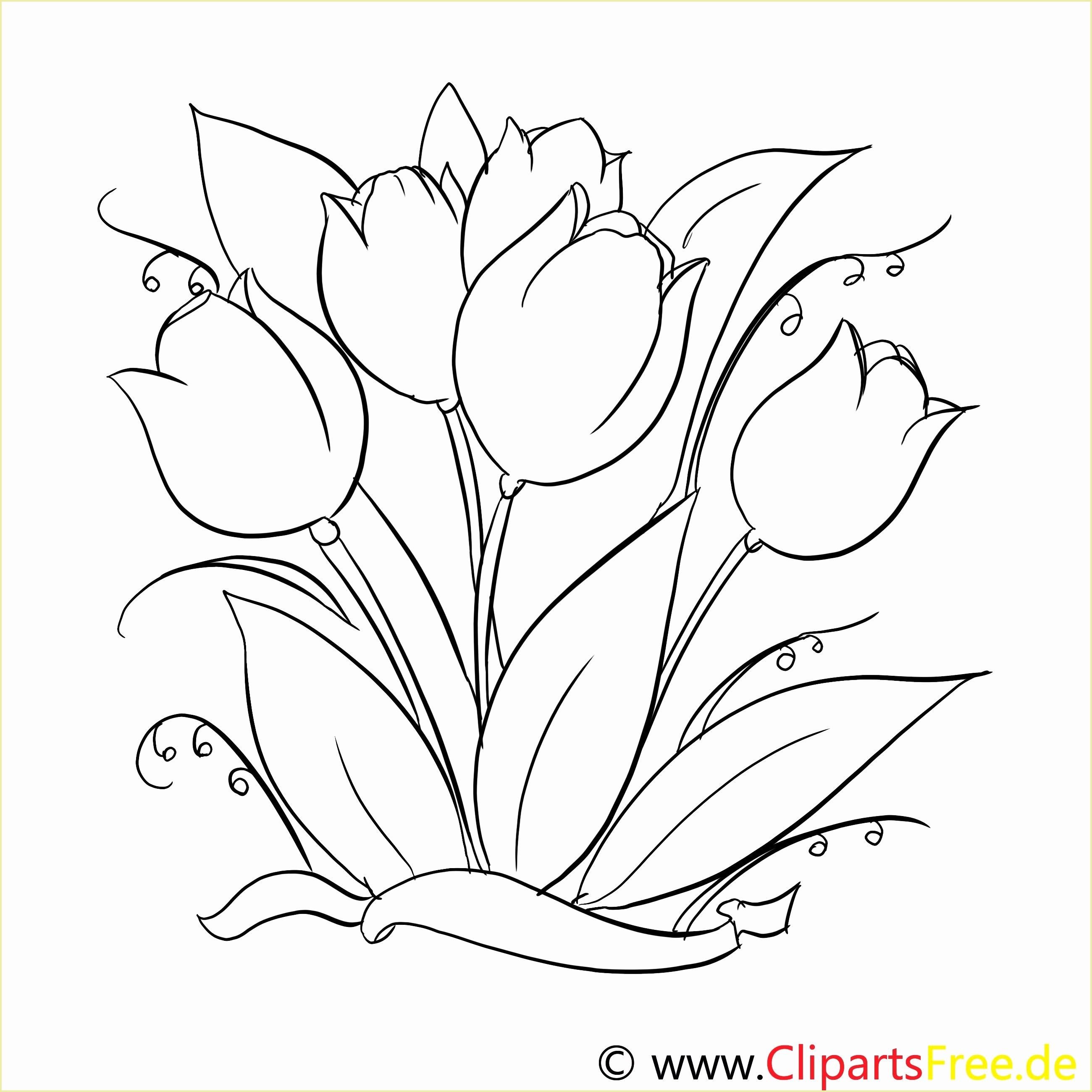 Frisch Malvorlagen Blumen Zum Ausdrucken | Coloring pages, Flower