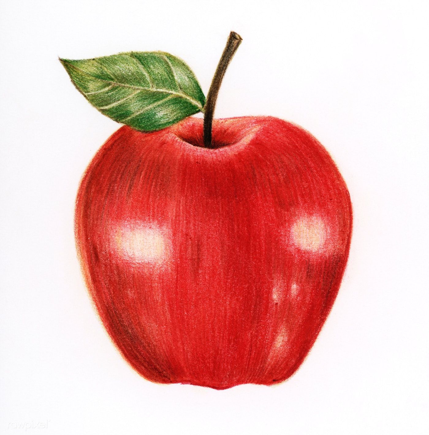 Illustration of an isolated red apple watercolor style | free image by