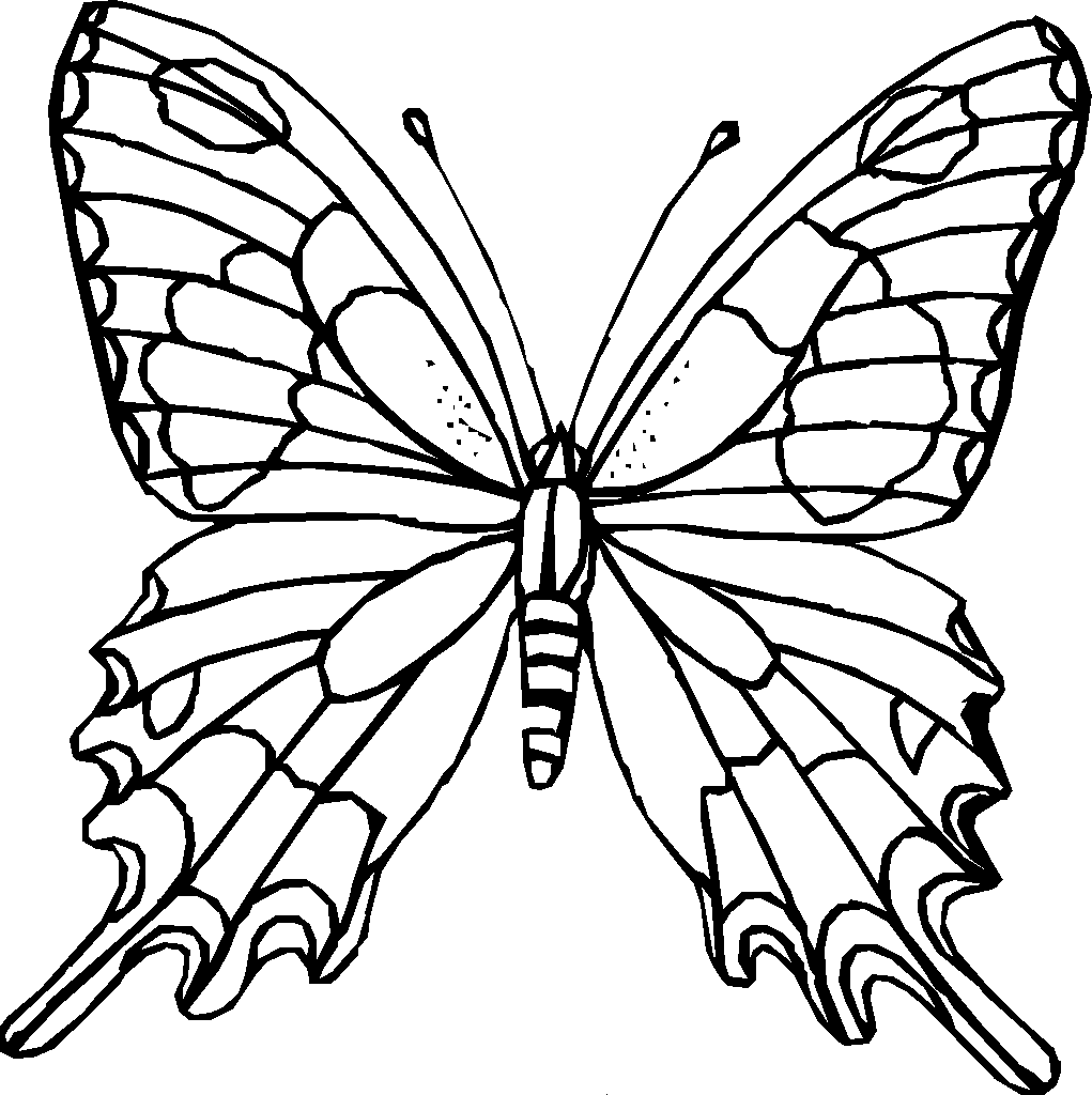 ausmalvorlagen schmetterling