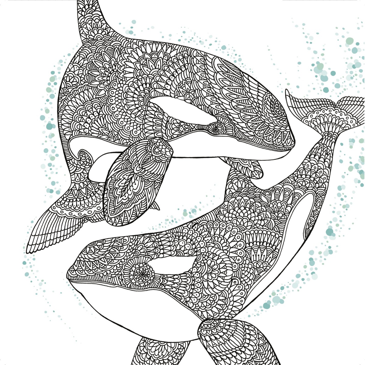 Orca Whale Free Adult Coloring Book Page - Craftfoxes