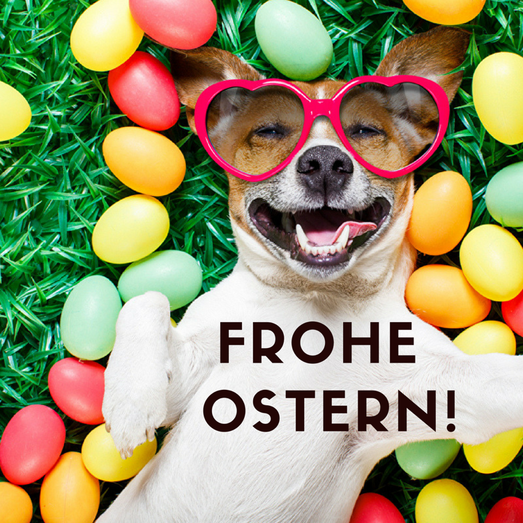 50+ schöne Frohe Ostern Bilder: Ostergrüße kostenlos, cool und lustig