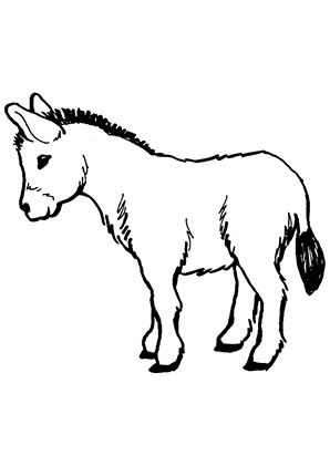 Farm Animal Coloring Pages, School Coloring Pages, Cute Coloring Pages